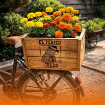 Caja decorativa El Perico Crudo